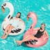 GUMA FLAMINGO I LEBED - 36124